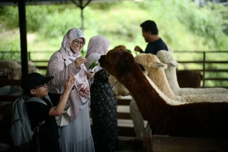 Liburan Keluarga Seru di Sekitar Balige: Danau Toba dan Kejutan Lokal